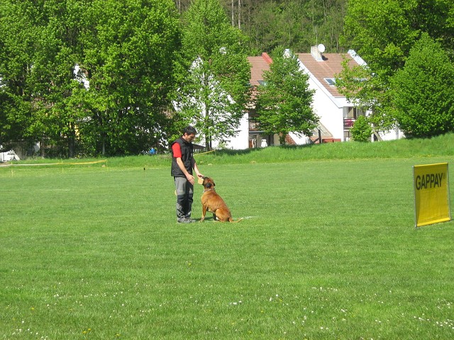www.atibox.net * www.euroboxer.eu * www.boxergenealogia.eu